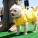 The Whole Enchihuahua | Nuena Photography thumbnail