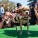 The Whole Enchihuahua | Nuena Photography thumbnail