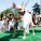 The Whole Enchihuahua | Nuena Photography thumbnail