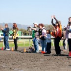 Wiener Nationals at Golden Gate Fields | San Francisco Dog Photographer