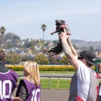 Wiener Nationals at Golden Gate Fields | San Francisco Dog Photographer