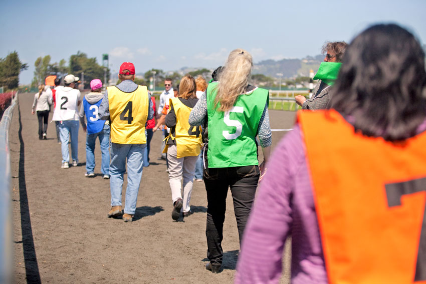 Wiener Nationals at Golden Gate Fields | San Francisco Dog Photographer