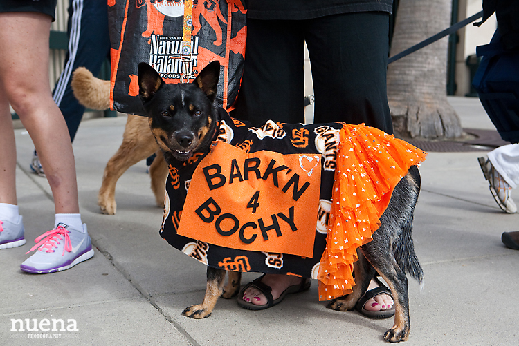 SF Giants Dog Day ATT Park | Nuena Photography