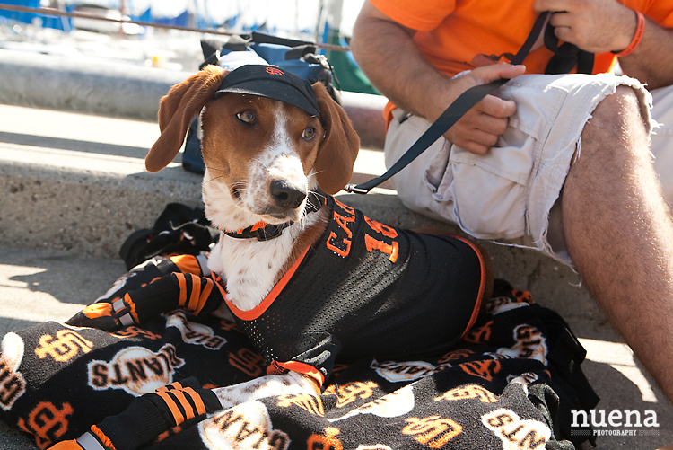 SF Giants Dog Day ATT Park | Nuena Photography