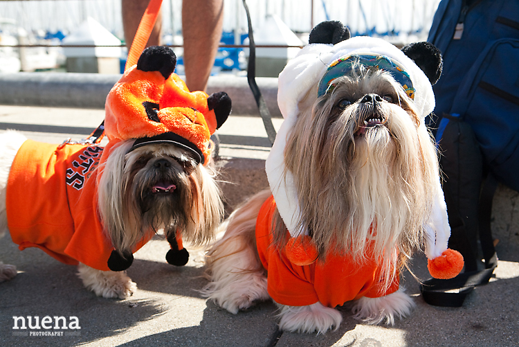 SF Giants Dog Day ATT Park | Nuena Photography