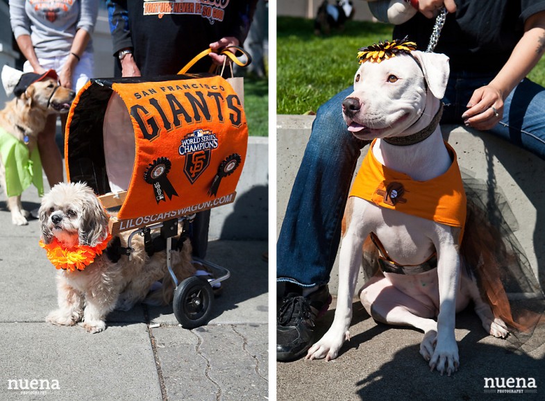 SF Giants Dog Day ATT Park | Nuena Photography