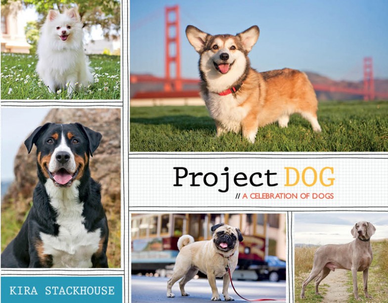 Project DOG by Kira Stackhouse | SF Bay Area Best Pet Photographer