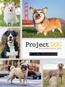 Project DOG by Kira Stackhouse Digital Edition Cover