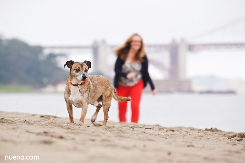 Hanky the Terrier Mix // Nuena Photography