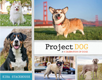 Project DOG cover