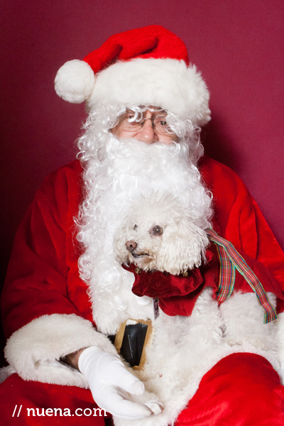Jeffrey's Natural Pet Foods Holiday Party | Nuena Photography