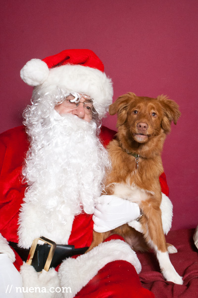 Jeffrey's Natural Pet Foods Holiday Party | Nuena Photography
