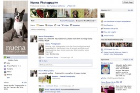 Nuena Photography 2012 Facebook Challenge