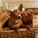 Precious | Muttville | Nuena Photography thumbnail