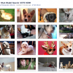 Molly Mutt Model Search Voting Now Open! | Nuena Photography | San Francisco Commercial Photographer