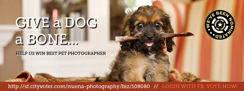 Vote Nuena Photography Best Pet Photographer in the Bay Area A-List