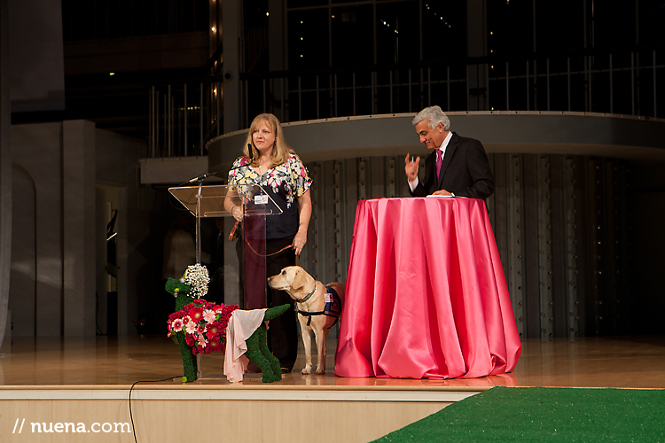Canine Companions for Independence | Haute Dog SF at SFDC | Nuena Photography