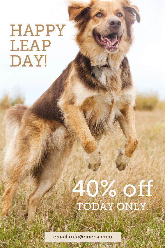 San Francisco Pet Photography | Leap Day Special