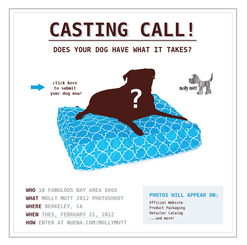 Molly Mutt Dog Casting Call | Nuena Photography | San Francisco Commercial Pet Photographer