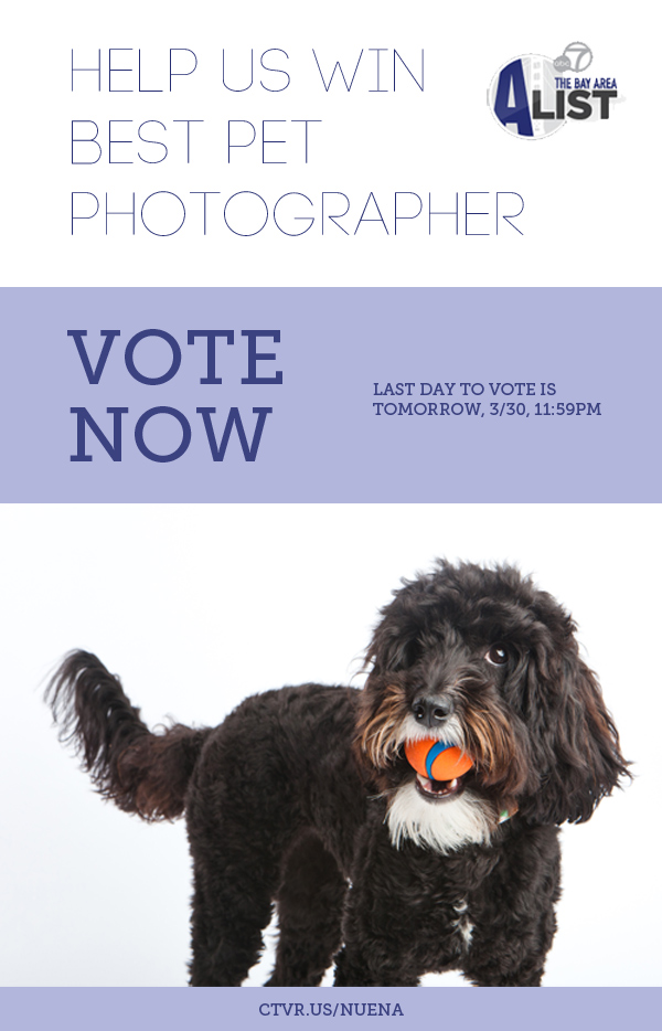 Vote Nuena Photography Best Pet Photographer in the Bay Area A-List