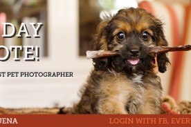 Vote Nuena Photography Best Pet Photographer in A-List
