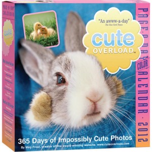 Cute Overload Calendar 2012 