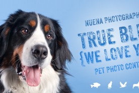 Nuena Photogrpahy True Blue Photo Contest