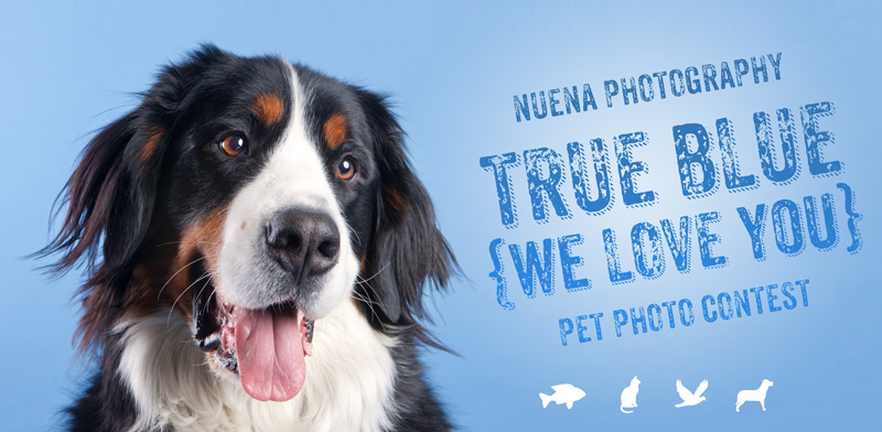 Nuena Photogrpahy True Blue Photo Contest