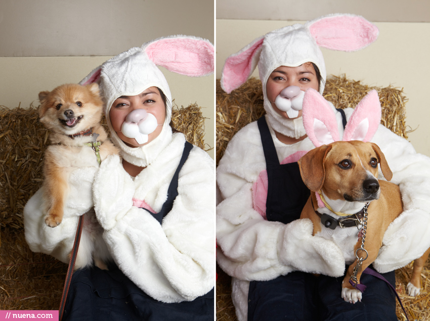 WAG Hotels Easter Party | Nuena Pet Photography