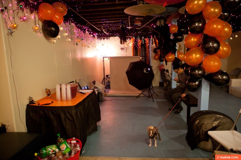 Jeffrey's Natural Pet Foods - Halloween Party | Nuena Photography