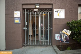 Muttville Senior Dog Rescue | Nuena Photography by Kira Stackhouse
