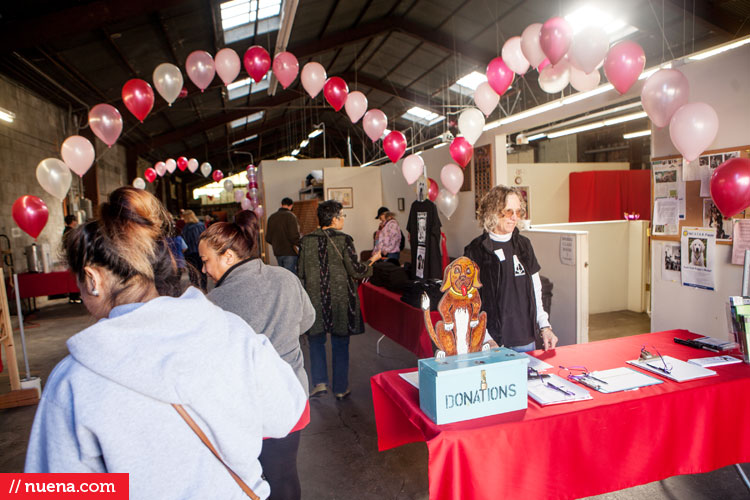 Berkeley Humane Society - Tails From The Heart | Nuena Pet Photography