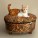Best Pet Photographer - Cats on Chairs | Nuena Photography by Kira Stackhouse thumbnail