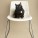 Best Pet Photographer - Cats on Chairs | Nuena Photography by Kira Stackhouse thumbnail