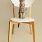 Best Pet Photographer - Cats on Chairs | Nuena Photography by Kira Stackhouse thumbnail