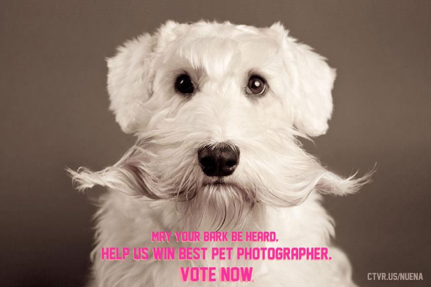 Bay Area A-List - Best Pet Photographer - Nuena Photography by Kira Stackhouse