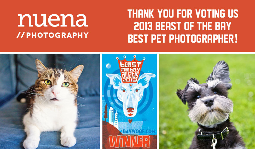 Bay Woof Beast of the Bay Awards - Nuena Photography Best Pet Photographer
