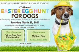 San Francisco Best Pet Photographer - Easter Egg Hunt | Nuena Photography by Kira Stackhouse