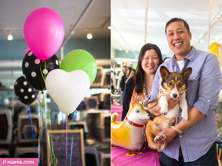 Dog Birthday Party - London the Corgi | Nuena Photography by Kira Stackhouse