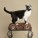 Best Pet Photographer - Cats on Chairs | Nuena Photography by Kira Stackhouse thumbnail