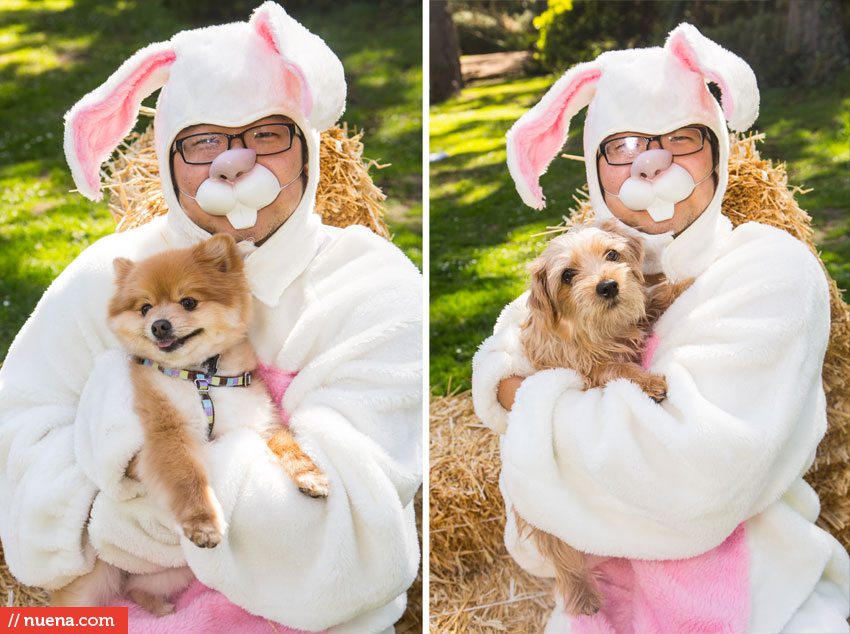 Wag Hotels - Dog Easter Egg Hunt | Nuena Photography by Kira Stackhouse