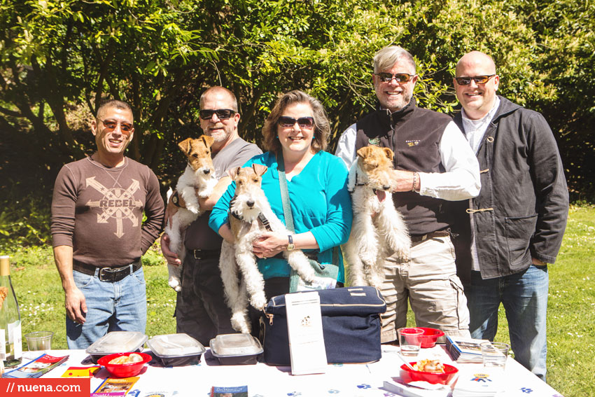 Wag Hotels - Dog Easter Egg Hunt | Nuena Photography by Kira Stackhouse