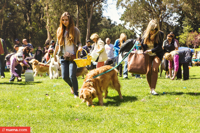 Wag Hotels - Dog Easter Egg Hunt | Nuena Photography by Kira Stackhouse