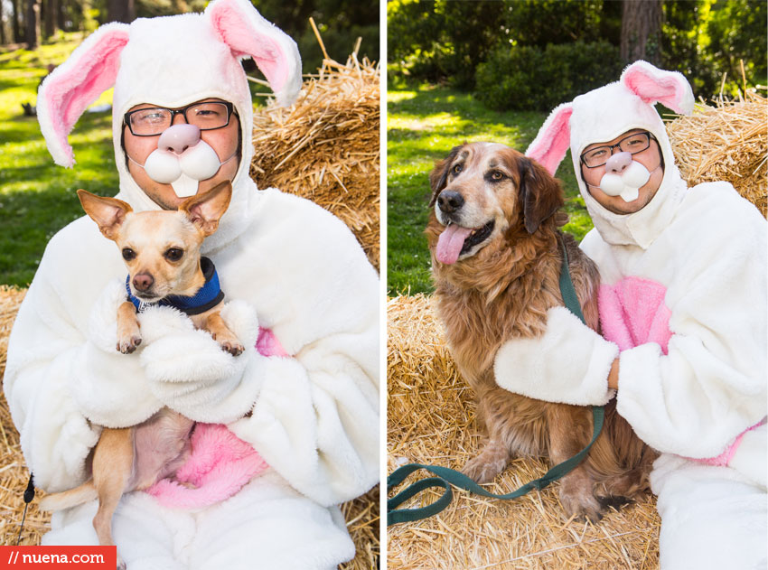 Wag Hotels - Dog Easter Egg Hunt | Nuena Photography by Kira Stackhouse
