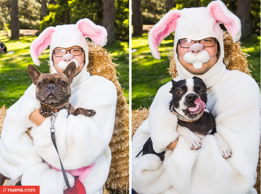 Wag Hotels - Dog Easter Egg Hunt | Nuena Photography by Kira Stackhouse