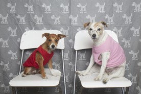 Molly Mutt - Earth Day Sale | Nuena Photography by Kira Stackhouse