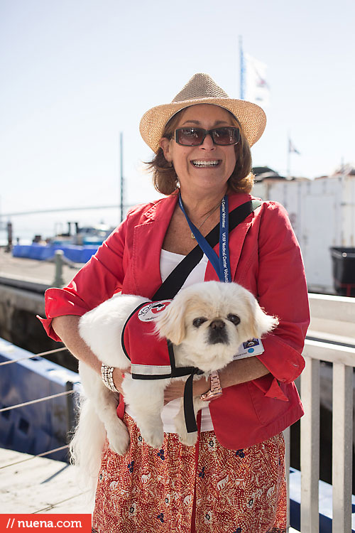 Dog Day on the Bay 2013 - San Francisco SPCA | Kira Stackhouse