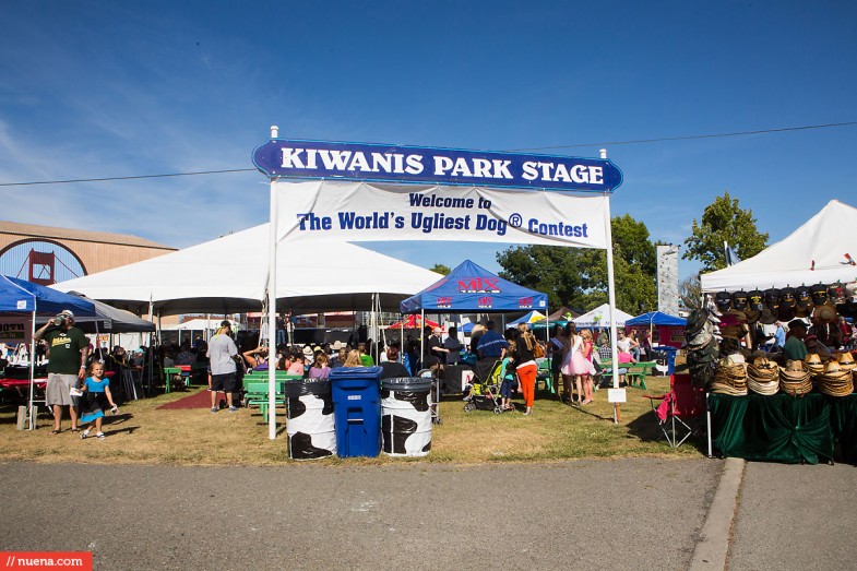 World's Ugliest Dog Contest 2013 - Sonoma-Marin Fair | Kira Stackhouse