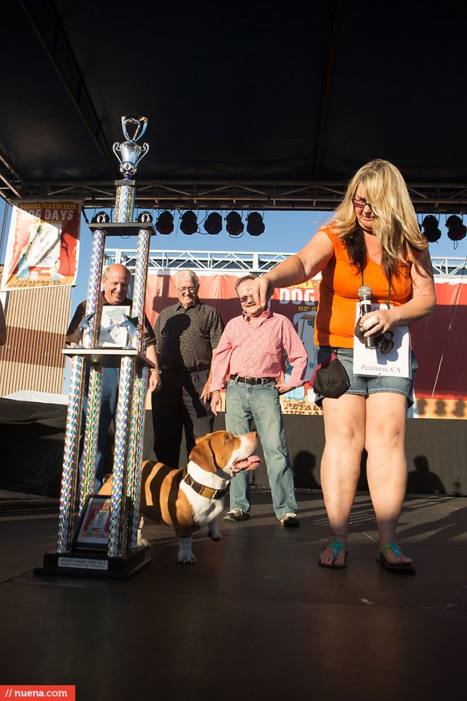 World's Ugliest Dog Contest 2013 - Sonoma-Marin Fair | Kira Stackhouse