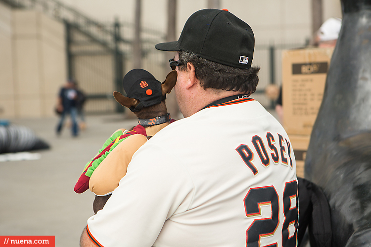 San Francisco Giants Dog Day 2013 | Kira Stackhouse Photographer